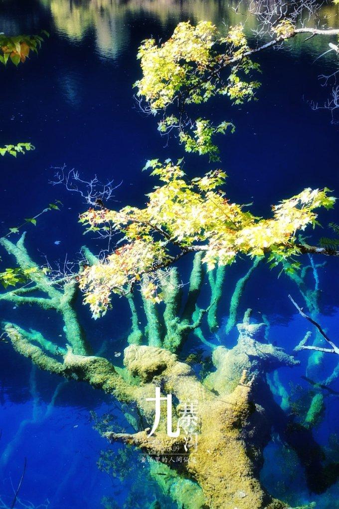 德州德城区二屯镇开展2024春节山东乡村文化旅游节“普法迎新春·送法进万家”暨“黄河大集”活动